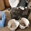 box-fans-&-hangers-image-3