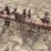 3-row-cultivator-image-5