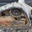 2022-bobcat-t66-image-19