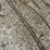 15-foot-log-chain-image-1