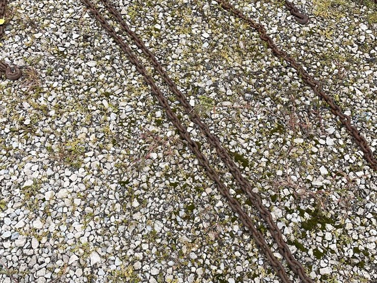 15-foot-log-chain-image-1