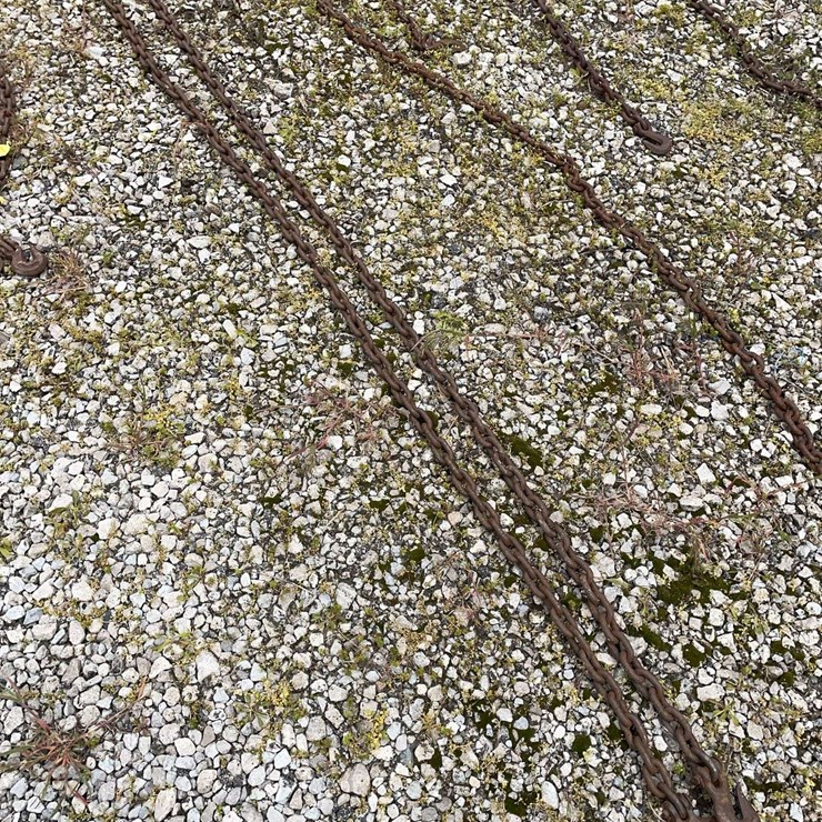 15 foot log chain