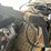 honda-gx390-image-9
