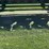 674-header-cart---setup-for-corn-head-or-platform-image-2