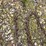 13’-log-chain-image-3