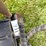 universal-attach-tree-grapple-image-5