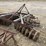 ford-101-image-2
