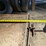antique-pull-type-rotary-hoe-image-4