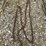 18’-log-chain-image-1