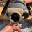 case-ih-1300-image-7