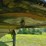 2010-timpte-hopper-bottom-image-15