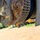 2011-wirtgen-w200-image-79