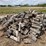 firewood-image-1
