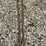 15-foot-log-chain-image-2