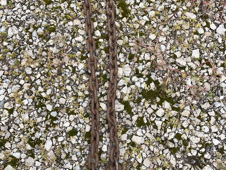 15-foot-log-chain-image-2