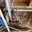 yard-tools.-pitch-forks,-broom,-shovel-etc-image-5