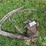 hay-hooks-image-1