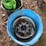 feed-pails-image-3