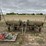 john-deere-36-image-1
