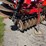 sunflower-disc-image-51