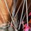 assorted-rebar-pieces,-scrap-etc-image-4
