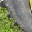 john-deere-4650-image-20