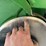 2019-john-deere-1795-image-19