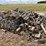 firewood-image-5