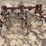 3-row-cultivator-image-3