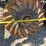 great-plains-tm3000---30'-turbo-max---new-blades!-image-26