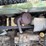 john-deere-gator-image-20