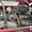 2019-mahindra-2638-hst-image-17