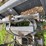 leon-m40-image-11