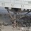 2011-wabash-42'-tandem-axle-dry-van-trailer,-68,000lb-gvwr-image-12