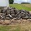 firewood-image-4