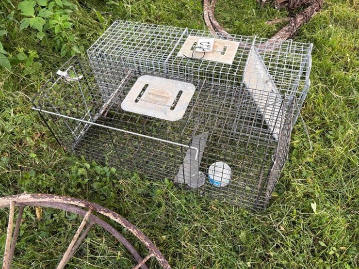 (2)-live-traps-image-1