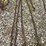 19’-log-chain-image-3