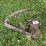 hay-hooks-image-2