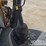 2019-case-580sn-image-52