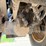 ingersoll-rand-sd116dx-tf-image-67