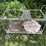 plant-stand-cart-image-1
