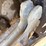 ingersoll-rand-sd116dx-tf-image-19