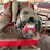 lawn-vac-image-3