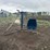 lewis-cattle-oiler-image-3