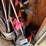 assorted-rebar-pieces,-scrap-etc-image-3