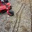 34-foot-log-chain-image-1