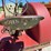john-deere-d-image-37
