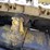 caterpillar-d7-image-20