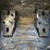2024-bobcat-t62-image-21