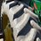 2010-john-deere-8320r-image-68